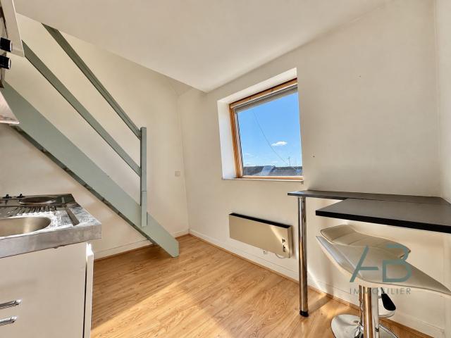 Appartement 1 pièce 20 m²