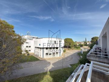 Alco, La Languedocienne Montpellier, Maurin, Hérault, Languedoc-Roussillon