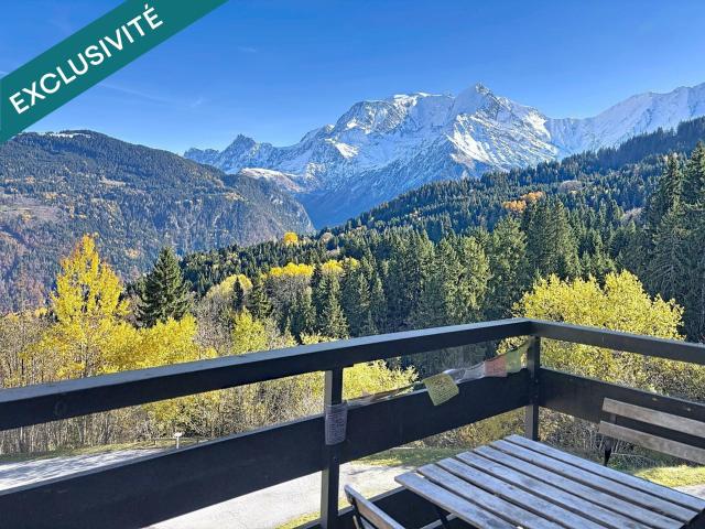 Appartement 1 pièce 20 m²