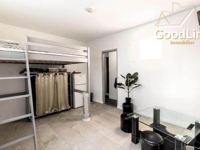 Appartement 1 pièce 20 m²