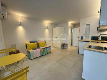 Appartement 1 pièce 20 m²