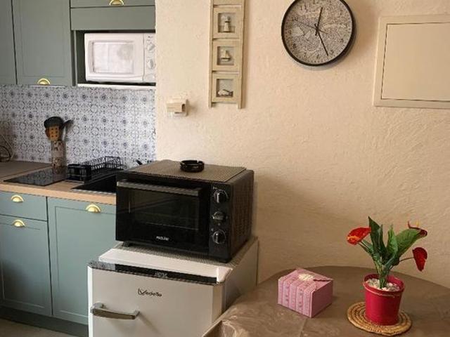 Appartement 1 pièce, 20 m² à louer à Amélie les Bains Palalda 66110