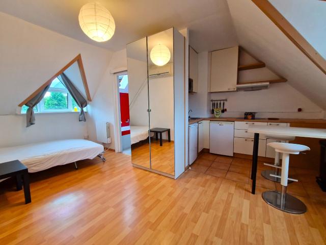 Appartement 1 pièce, 20 m² à louer à Dingsheim 67370