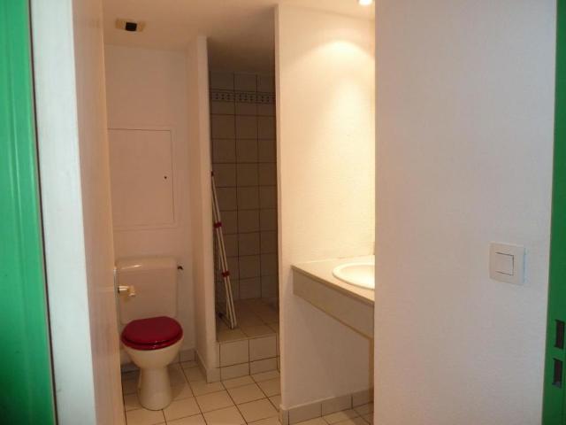 Appartement 1 pièce, 20 m² à louer à Lyon 7 69007