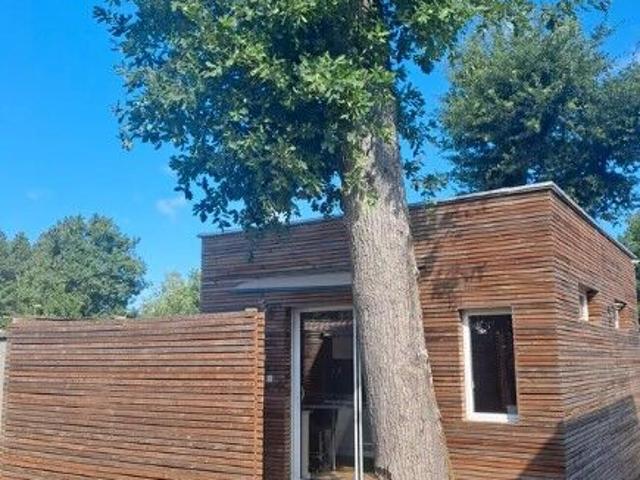Appartement 1 pièce, 20 m² à louer à Pessac 33600