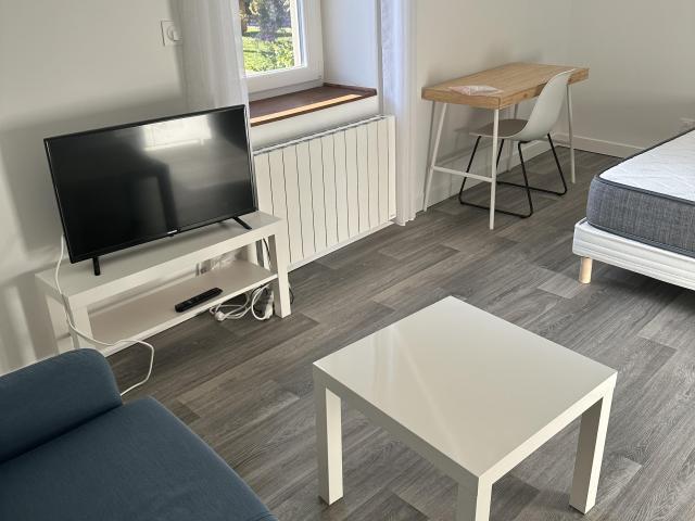 Appartement 1 pièce, 20 m² à louer à Roanne 42300