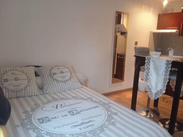 Appartement 1 pièce, 20 m² à louer à Saint Brieuc 22000