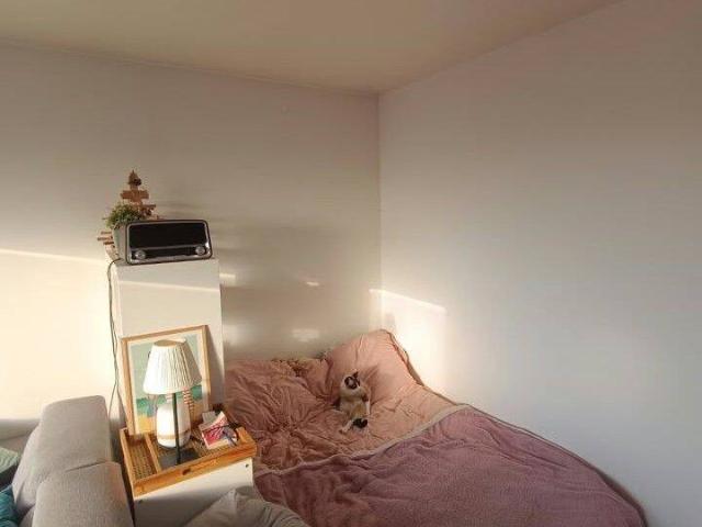 Appartement 1 pièce