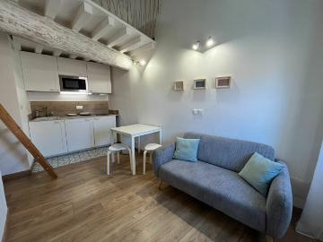 Appartement 1 pièce 20 m²