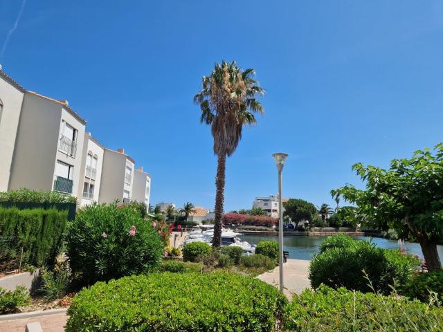 Appartement 1 pièce, 21 m² à louer à Saint Cyprien 66750