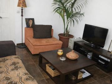 Appartement 1 pièce 19 m²