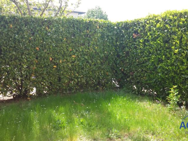 Appartement 1 pièce, 22 m² à louer à Blagnac 31700