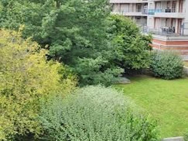 Appartement 1 pièce 23 m²
