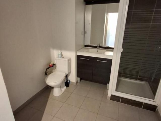 Appartement 1 pièce, 23 m² à louer à Lyon 7 69007