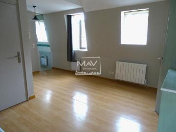 Appartement 1 pièce, 23 m² à louer à Lille 59000