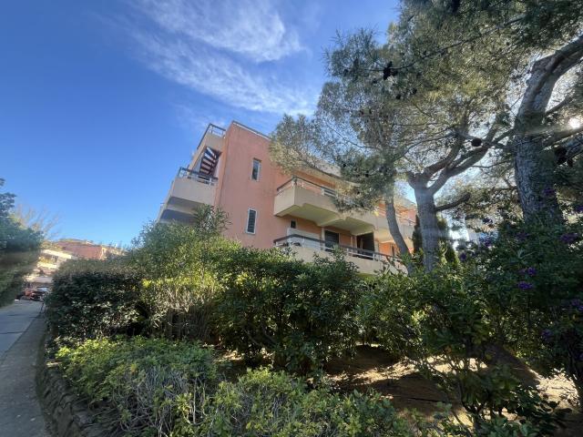 Appartement 1 pièce 34 m²