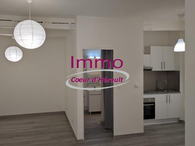 Appartement 1 pièce 35 m²
