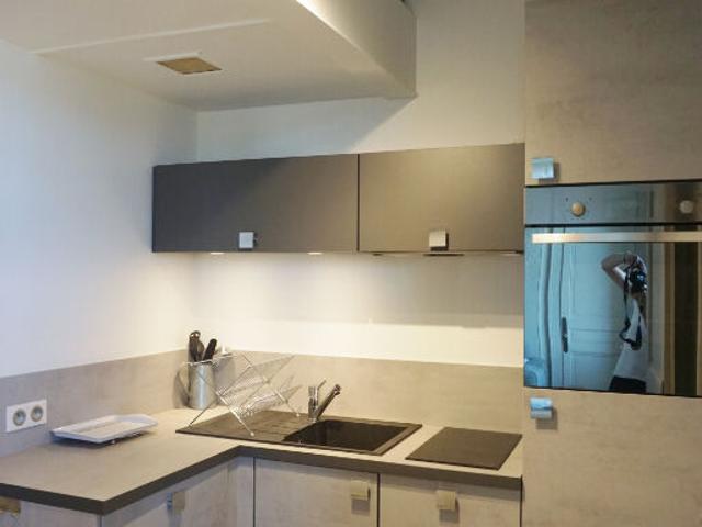 Appartement 1 pièce, 35 m² à louer à Aix les Bains 73100