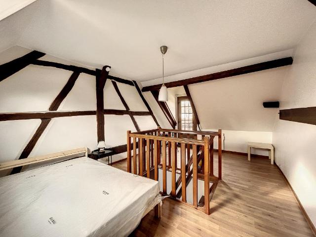 Appartement 1 pièce, 35 m² à louer à La Ferté Saint Aubin 45240