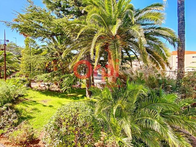 Appartement 1 pièce, 35 m² à louer à Saint Raphaël 83700