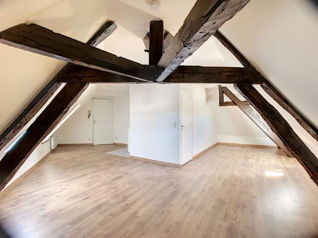 Appartement 1 pièce, 35 m² à louer à Sandillon 45640