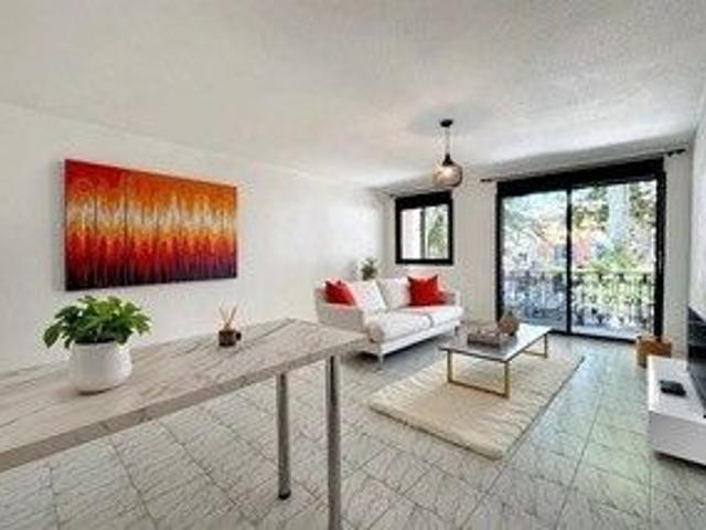 Appartement 1 Pièce 36 m²