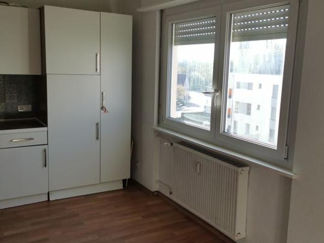 Appartement 1 pièce, 36 m² à louer à Saint Louis 68300