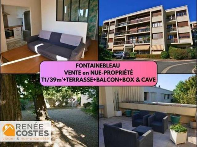 Appartement 1 pièce 39 m²
