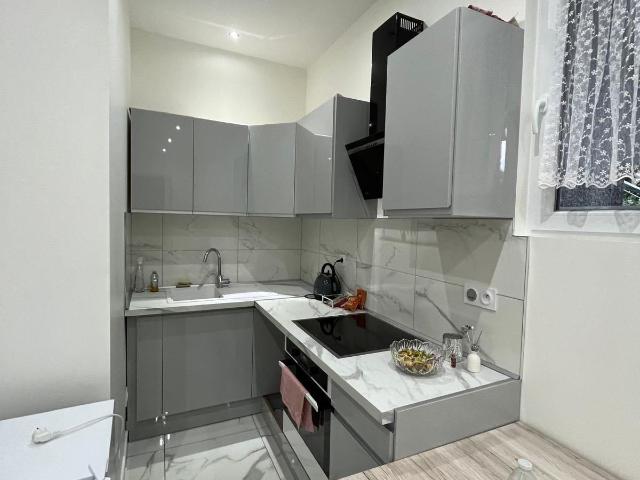 Appartement 1 pièce, 30 m² à louer à Annemasse 74100