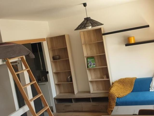 Appartement 1 pièce, 30 m² à louer à Romans sur Isère 26100