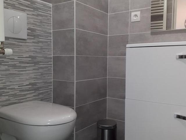 Appartement 1 pièce, 30 m² à louer à Saint Étienne 42000