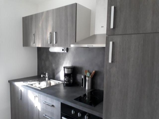 Appartement 1 pièce, 30 m² à louer à Saint Étienne 42000