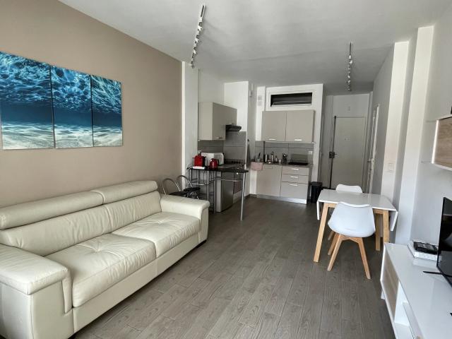 Appartement 1 pièce 31 m²
