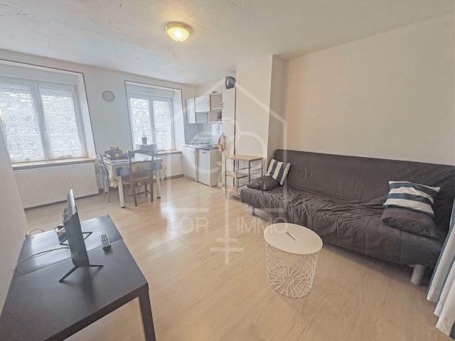 Appartement 1 pièce, 32 m² à louer à Château Salins 57170