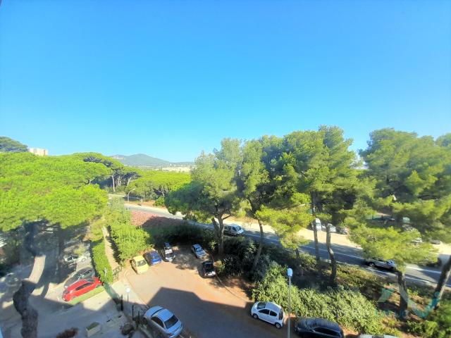 Appartement 1 pièce 33 m²