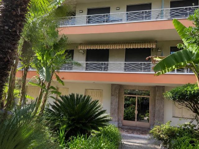 Appartement 1 pièce 33 m²