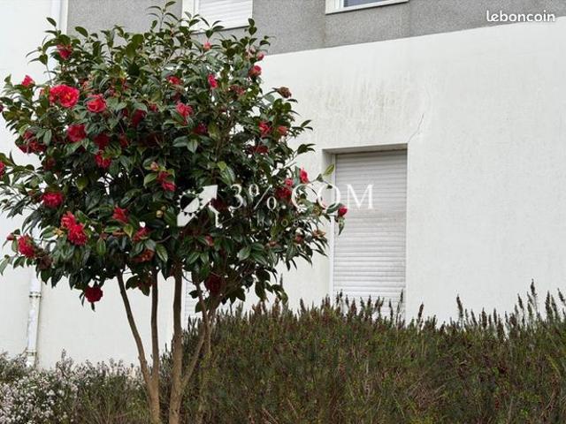 Appartement 1 pièce 33 m²