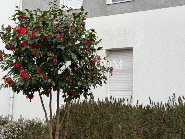Appartement 1 pièce 33 m²