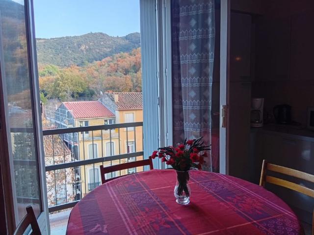 Appartement 1 pièce, 33 m² à louer à Amélie les Bains Palalda 66110