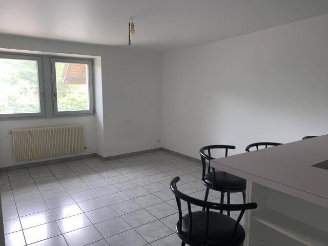 Appartement 1 pièce, 33 m² à louer à Boëge 74420