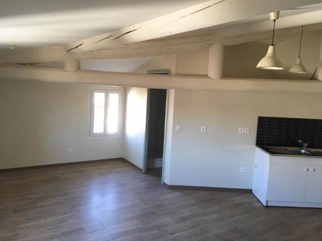 Appartement 1 pièce, 33 m² à louer à L'Isle sur la Sorgue 84800