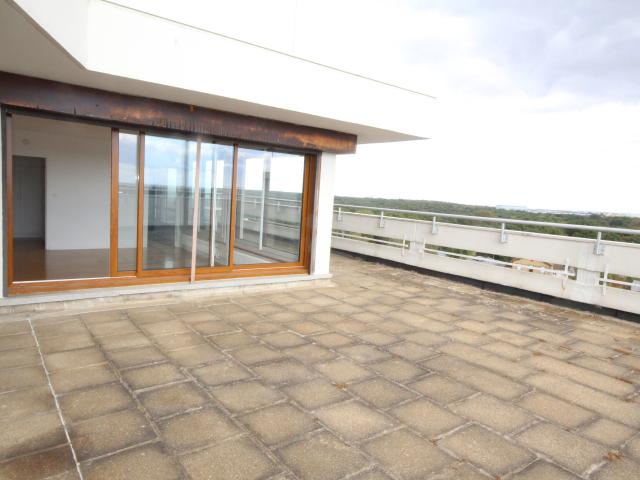 Appartement 1 pièce 45 m²