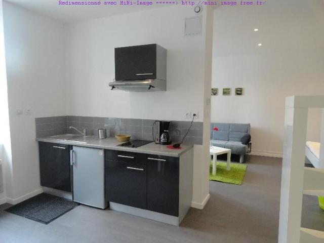 Appartement 1 pièce, 40 m² à louer à Saint Étienne 42000