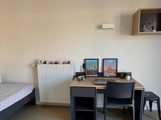 Appartement 1 pièce