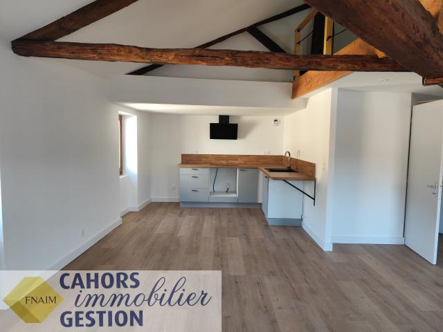 Appartement 1 pièce 42 m²