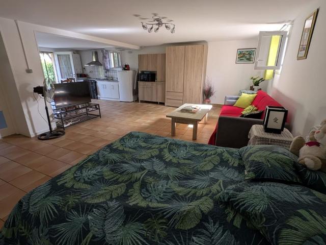 Appartement 1 pièce, 50 m² à louer à Décines Charpieu 69150