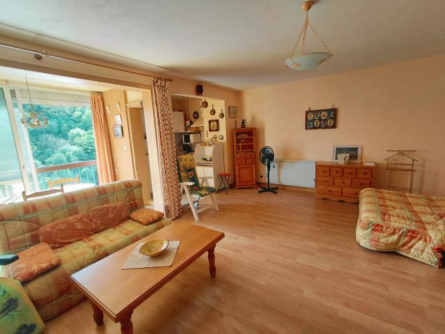 Appartement 1 pièce 51 m²