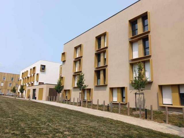 Appartement 1 pièce