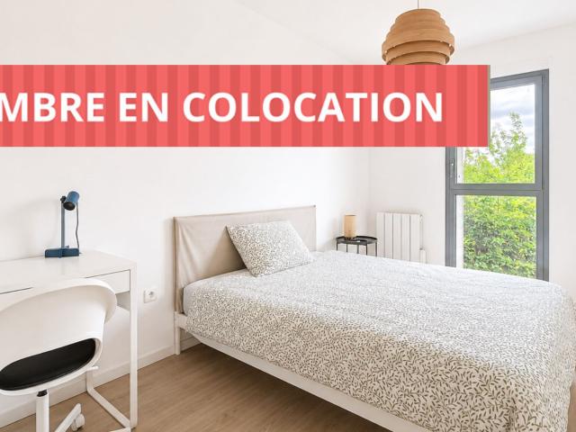 Appartement 1 pièce
