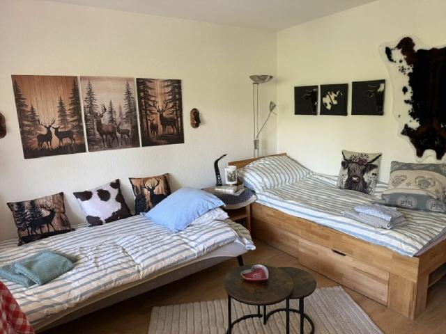 Appartement 1 1/2 pièces à Crans Montana